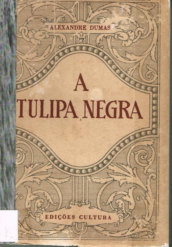 Tulipa Negra, A